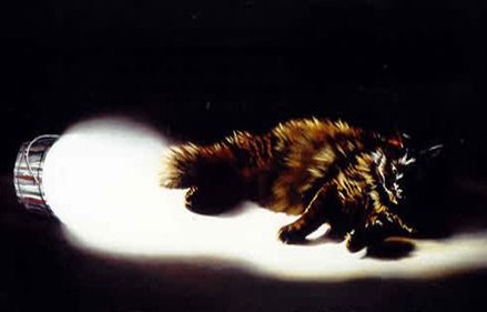 &quot;Bob E. Cat&quot;
