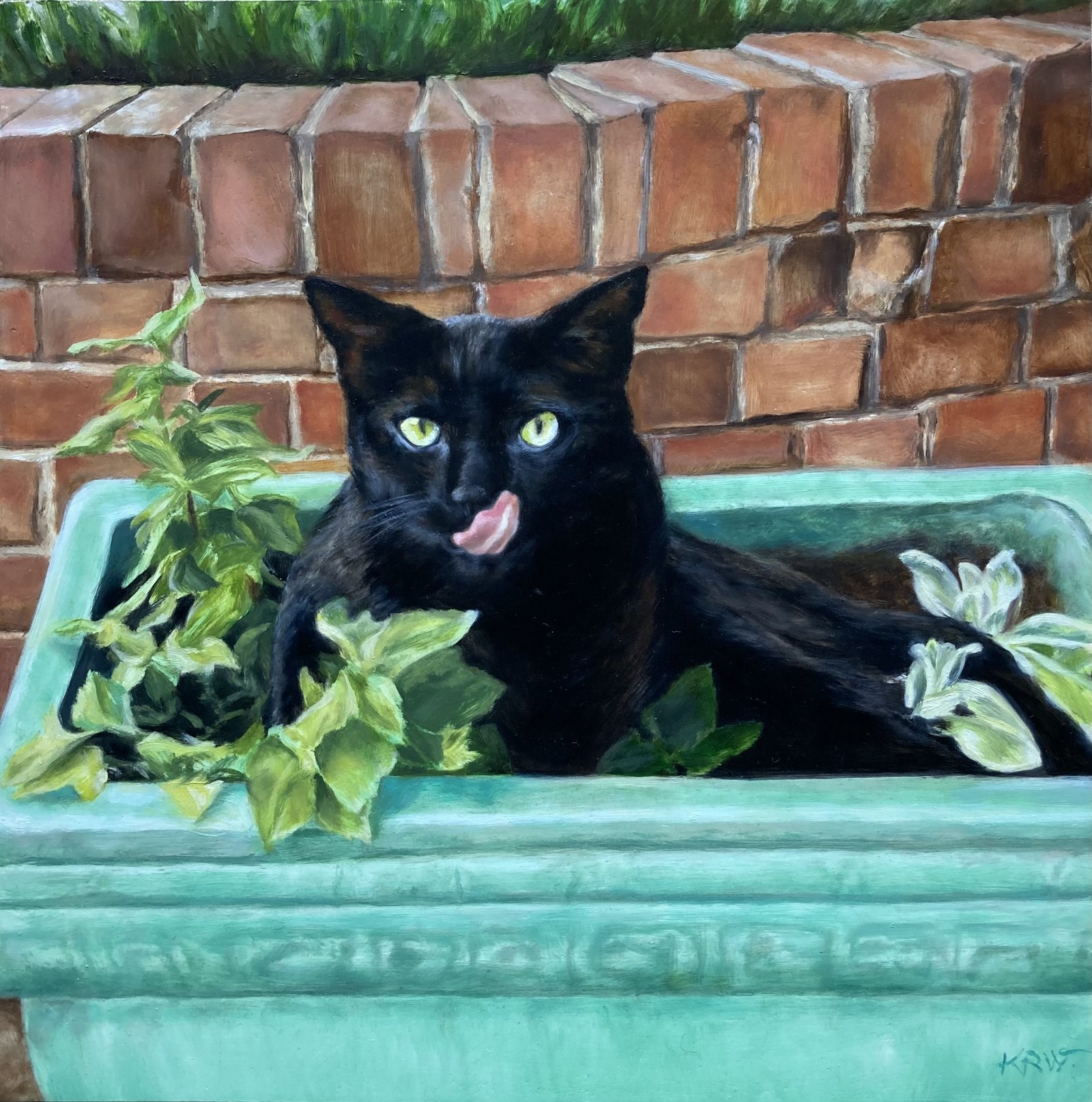 Murphy, Flower Pot